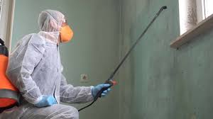 Asbestos and Lead Testing During Mold Inspection in Dunn, NC